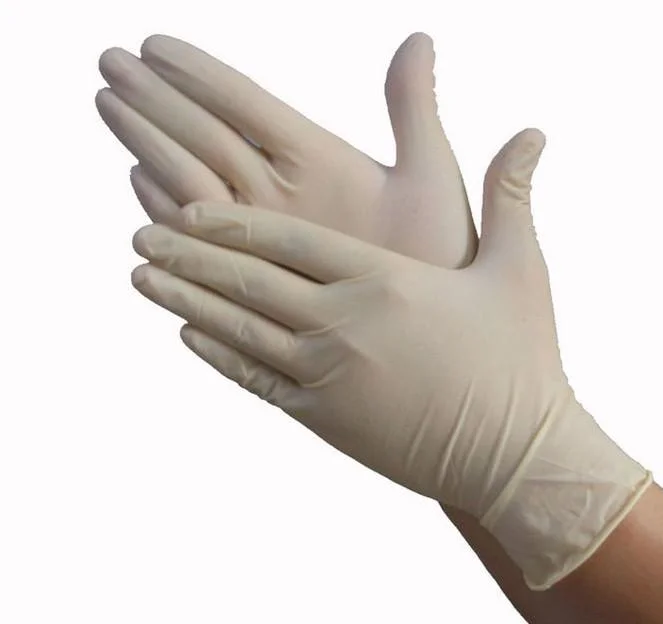 Medical Supply High Quality Disposable Latex Surgical Glove