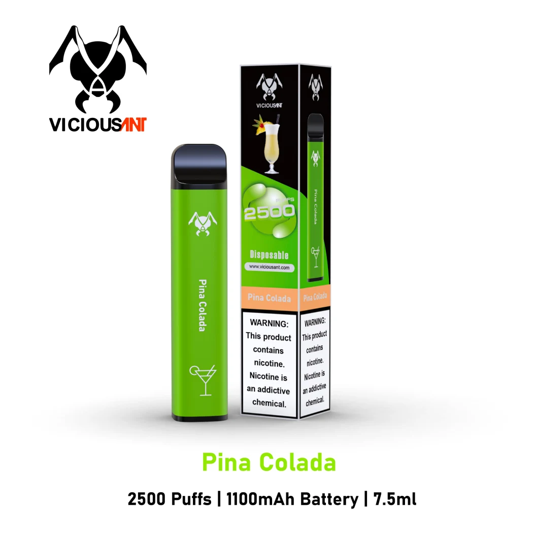 Hot Sale New Disposable 2500 Puff Vape Product