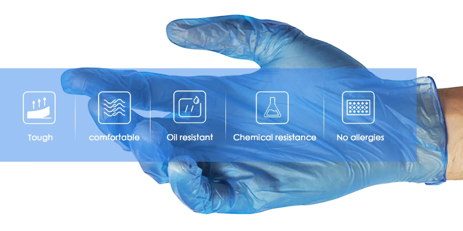 Powdered, Powder Free Vinyl Examination Gloves with CE En455 Certificate